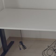Flexispot EF1