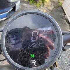 ホンダ レブル250 の画像
