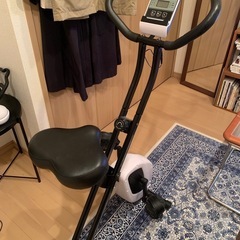 ティゴラ　静音 フィットネスバイク 60分連続駆動