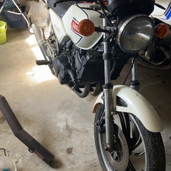 RZ250