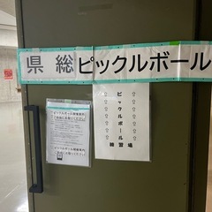 5/25日曜昼間　沖縄市　県総でピックルボール一緒にやりま…