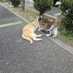 今日～🐬🐯
