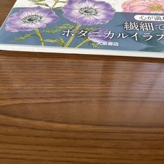 新品・未使用品　大人のぬり絵　2冊セット　定価2,310円の画像