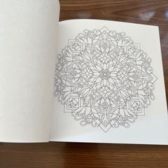 新品・未使用品　大人のぬり絵　2冊セット　定価2,310円の画像