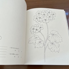 新品・未使用品　大人のぬり絵　2冊セット　定価2,310円の画像