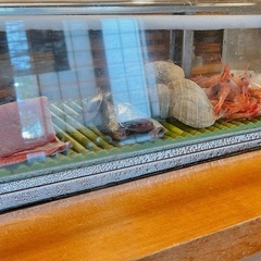 【🍣】寿司友！