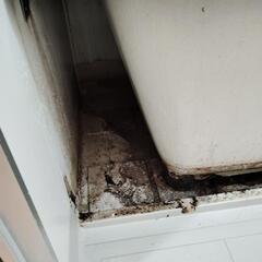 高圧洗浄/清掃お任せ下さい！ - 手伝いたい/助けたい