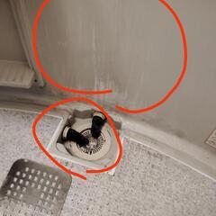 高圧洗浄/清掃お任せ下さい！ - 助け合い