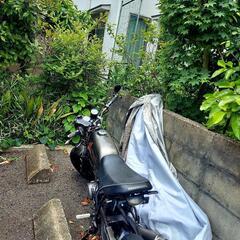 ホンダエイプ50の画像