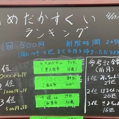 メダカ販売！80種類以上 メダカ掬いも常設の画像