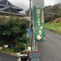 メダカ販売！80種類以上 メダカ掬いも常設の画像