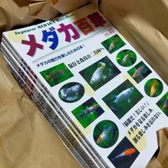【最新号】メダカ百華20が入荷‼️名古屋改良メダカ直売所♢正規取扱店 - ペット