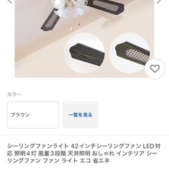 シーリングファンライト
の画像