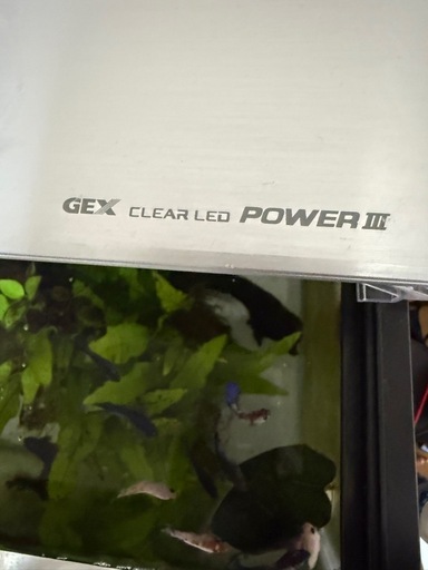 GEX 60cm水槽+ライト+諸々