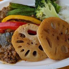 土日祝活動の社会人アウトドアサークル − 大阪府