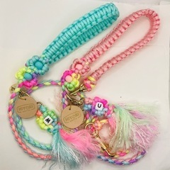 締切間近❣️ 6/14(土) ひよりぺっと【パラコードワークショップ(千葉)】の画像