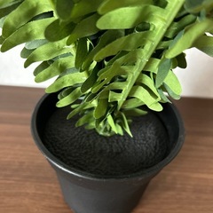 雑貨、観葉植物イミテーションの画像