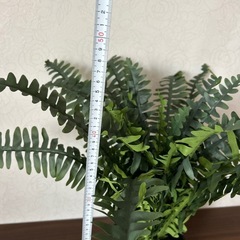 雑貨、観葉植物イミテーションの画像