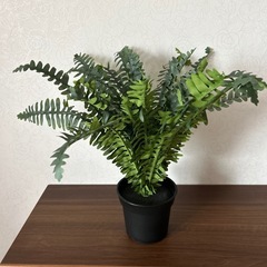 雑貨、観葉植物イミテーション