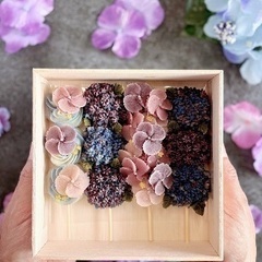 和なは公式　あんこのお花　紫陽花団子Boxの画像