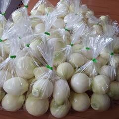 採れたて 新たまねぎ 1袋 200円
