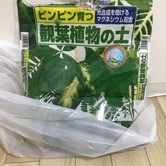 培養土　残り