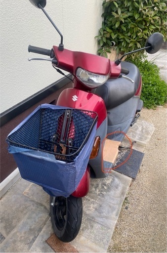 スズキレッツ(原付)引き取り希望