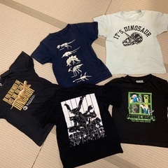 Tシャツ140センチ　ポケモン、マイクラ、恐竜5枚セット