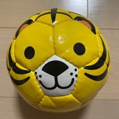 sfida ミニサッカーボール&マスターボール　虫かごの画像