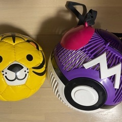 sfida ミニサッカーボール&マスターボール　虫かご