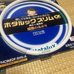 照明まとめての画像
