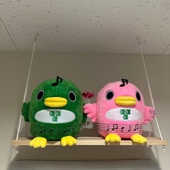 5/20(火)19:00〜21:00 芝園フットサル場　参…