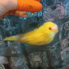 フェルトマスコット　セキセイインコ　ルチノー