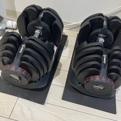 【中古・美品】可変式ダンベル 4〜38kg ×2