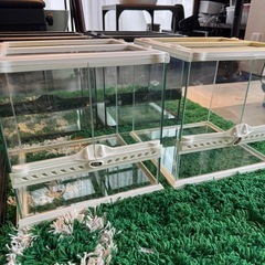 GEX 3030 テラリウムケージ 7個セット