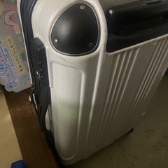キャリーバックフリマ行き！の画像