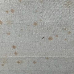 訳あり💦ウッドカーペット🪵の画像