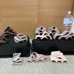 アクアリウムシェルター（熱帯魚）
