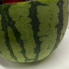 スイカ！！フルーツ🍉熊本産
