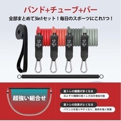 【中古・美品】トレーニングチューブセット ×2 トレーニングバーつきの画像
