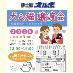 犬猫譲渡会in吹田市　緑地公園