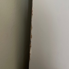 値下げ❗️　シューズボックス　下駄箱　ミラー付き　大型　大容量　幅75の画像