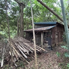 🔥ブッシュクラフト拠点に最適！竹林の中の隠れ家売ります🔥千葉県袖ケ浦市の画像