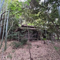 🔥ブッシュクラフト拠点に最適！竹林の中の隠れ家売ります🔥千葉県袖ケ浦市の画像
