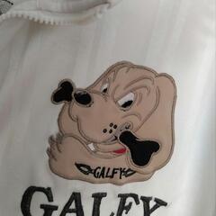 大至急。お願い致します。GALFYの画像