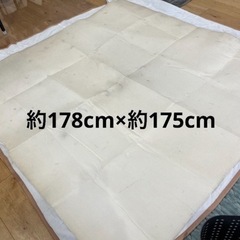 8/6〜26限定　約200×200cm　プレイマットの画像