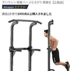 ぶら下がり健康器(懸垂マシン)