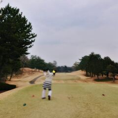 ✨👧独身限定👦✨2025/06/28(土)埼玉国際ゴルフ倶楽部⛳ゴルフ参加メンバー大募集♪ - 船橋市
