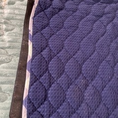 12/25〜1/6限定　後部座席用シートカバーの画像