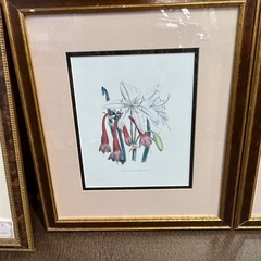 ホテル絵画　ゆり額付き　どれでも一枚の画像